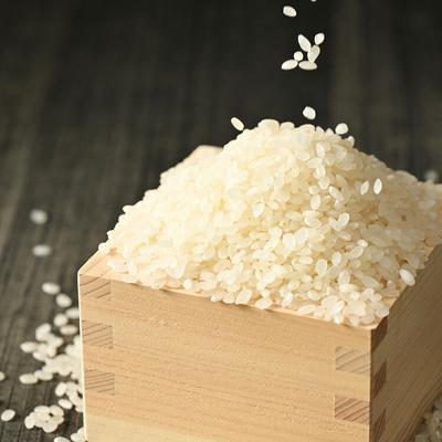 ふるさと納税 古河市 【令和7年産】にじのきらめき 精米5kg【荒川アグリ】 | 米 ※2025年10月〜発送 _DH04 |  | 02