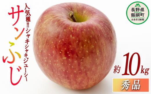 りんご サンふじ 秀 10kg 光センサー選別品 ながの農業協同組合 2025年12月上旬頃から2025年12月下旬頃まで順次発送予定 令和7年度収穫分 信州 果物 フルーツ リンゴ 林檎 長野 24000円 予約 長野県 飯綱町 [0338]