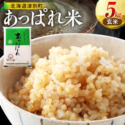 ふるさと納税 津別町 【令和8年産・先行受付】北海道産 津別町あっぱれ米(玄米) 5kg