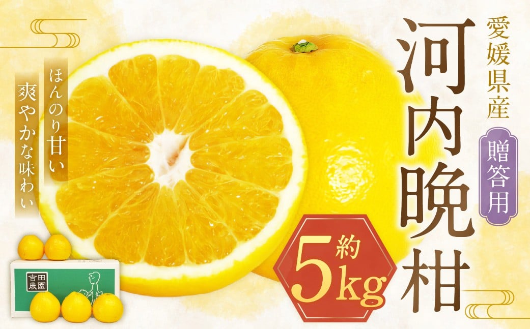 
            【2026年4月上旬より順次発送】贈答用 河内晩柑 5kg【えひめの町（超）推し！（愛南町）】(382-1)
          