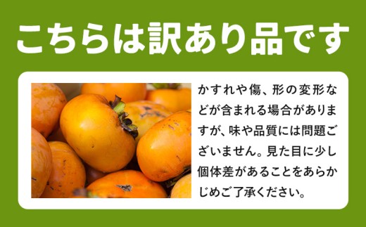 たねなし柿 訳あり 2kg 株式会社農業福祉研究機構《9月上旬-11月上旬頃出荷》和歌山県 紀の川市 送料無料 フルーツ 果物 柿 たねなし かき 旬 旬のフルーツ お取り寄せフルーツ ご家庭用