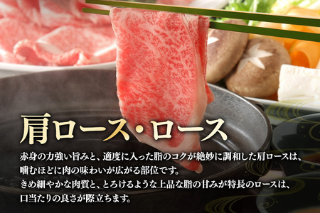 飛騨牛 A5～4等級 しゃぶしゃぶ用 ( 肩ロース ・ ロース ) 500g (A01-005)