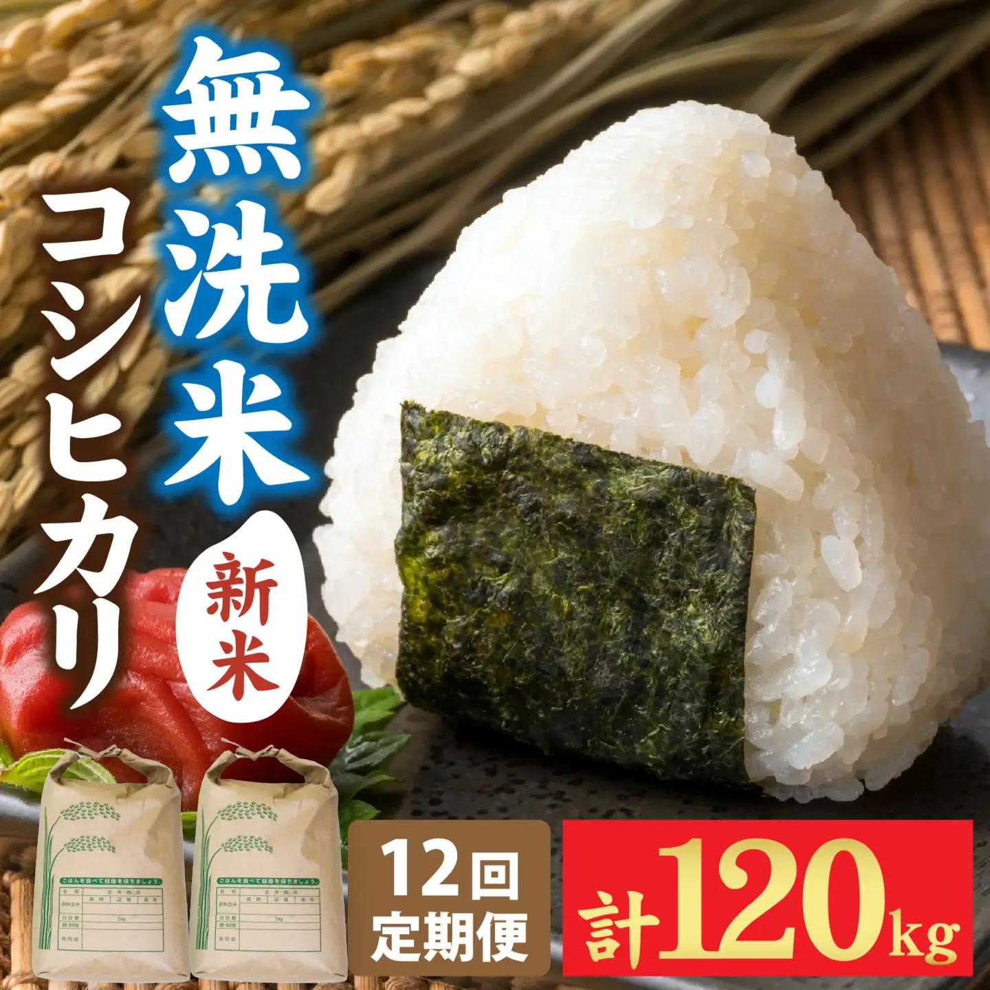 【先行予約】《定期便12ヶ月連続お届け》【みやま米】令和8年産 福井市産コシヒカリ10kg/天然の山水だけで育てたお米【2026年10月下旬以降順次発送予定】[P-168013] / 10kg 米 こしひかり 無洗米 色彩選別  12ヵ月定期便