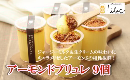 ジャージーミルクたっぷり アーモンドブリュレ9個 ジャージー牧場 らいらっく 自家牧場 ジャージー牛 牛乳 ミルク アーモンド ブリュレ アイス プリン 無添加 手作り 濃厚  冷凍  AS2BB3
