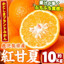 【ふるさと納税】数量限定！鹿児島県産紅甘夏みかん(約10kg・28玉〜32玉)国産 果物 フルーツ【鹿児島いずみ農業協同組合】a-13-43-z