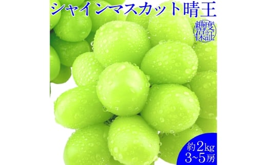 シャインマスカット 晴王 約2kg（3～5房) 種無し 皮ごと食べる フレッシュ 旬の美味しさ【2026年9月上旬-10月下旬 発送予定】【岡山県産 種無し 皮ごと食べる みずみずしい 甘い フレッシュ 9月～10月発送 晴れの国 おかやま ぶどう 葡萄 マスカット 果物大国 彩美菜果 岡山県 倉敷市 おすすめ 人気】