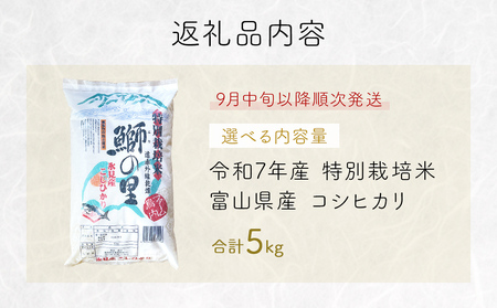 〈令和7年産 特別栽培米〉 富山県産コシヒカリ 5kg 鰤の里 白米