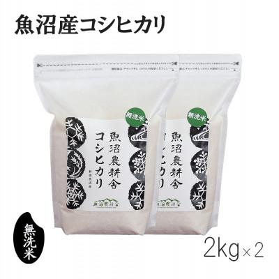 ふるさと納税 魚沼市 【2ヵ月毎定期便】無洗米 米農家自慢の 魚沼産 コシヒカリ2kg×2袋全6回 |  | 01