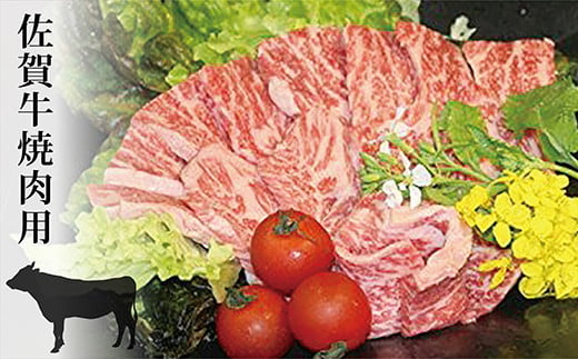 佐賀牛 焼き肉 バーベキュー 鉄板焼き 500g | 人気 ブランド 黒毛 和牛 佐賀牛 焼き肉 焼肉 バーベキュー  鉄板焼き 500g _c-8