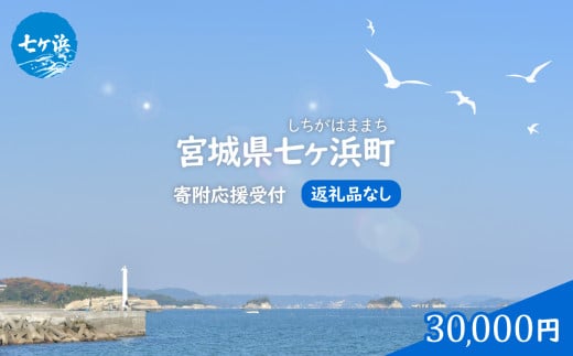 七ヶ浜町 返礼品なし 応援寄附【30,000円】| 7h-hn-30000