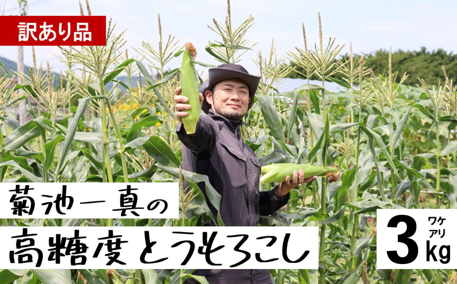 
            訳あり 菊池一真の 高糖度  とうもろこし ゴールドラッシュ 約 3kg 8～12本前後【 先行予約 2025年7月下旬頃発送予定】日付指定不可
          