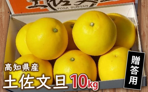 【早期予約】 土佐文旦 10kg 贈答用 高知県産 柑橘 フルーツ 文旦 ぶんたん ブンタン 果物 みかん 蜜柑 柑橘 産地直送 期間限定 季節限定  高知県 須崎 MN0011