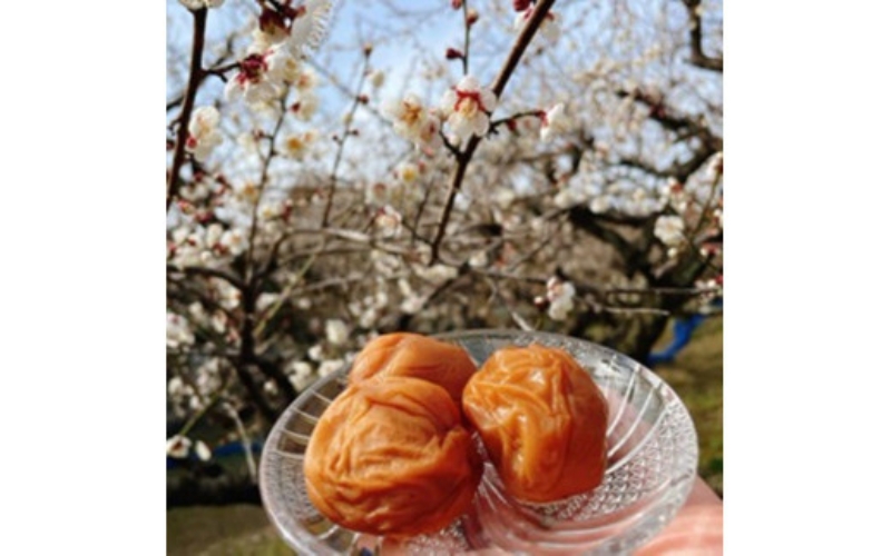 【甘くてフルーティー】愛ちゃんの田舎漬 贈答用 600g【塩分約11％】 【aisu003A】