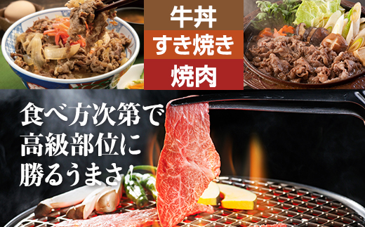 佐賀牛切り落としスライス肉（600g）つるや食品  牛肉 お肉 カレー・肉じゃが・牛丼・炒めものに ブランド牛 九州産 送料無料 A5～A4 しゃぶしゃぶ スライス 焼肉 人気 ランキング 評価 高い