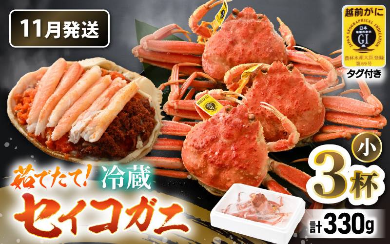 
            【先行予約】【冷蔵】 旬のセイコガニ 小 3杯 計330g以上（茹で前）【2025年11月上旬以降順次発送予定】説明書付き 食べ切数量！全て地物！天然！ ズワイガニメス [m21-x001_11]
          