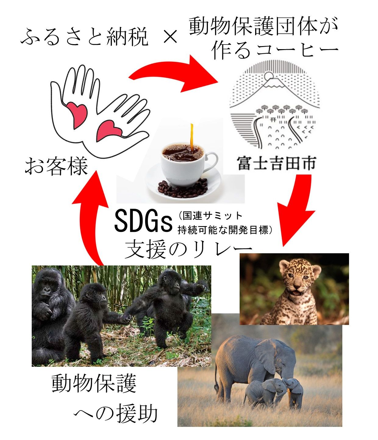 【訳あり】動物保護支援 ブレンドコーヒー 富士山の湧き水で磨いた スペシャルティコーヒー 粉 800g