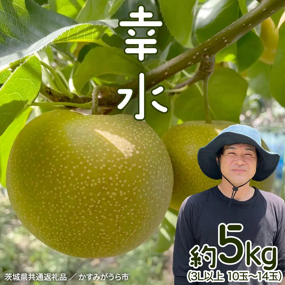 【ふるなびWEEK対象】【2026年8月中旬から発送開始】《先行予約》 幸水 梨 約 5kg 10玉～14玉 茨城県共通返礼品 ／ かすみがうら市 なし 鈴木農園 産地直送 フルーツ 甘い 直送 茨城 限定 [ED003sa]