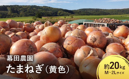 【2025年先行受付】富良野産 黄色 玉ねぎ 約20kg（約75～80玉） M～2Lサイズ　野菜 新鮮 直送 黄玉ねぎ 玉葱 玉ネギ 道産 北海道 富良野市 ふらの 幕田農園