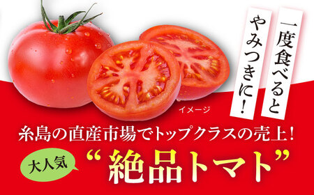 【産地直送！】糸島産 絶品 トマト かれん ( 4kg 28玉 前後 )  糸島市 / シーブ [AHC019] 大玉トマト 野菜
