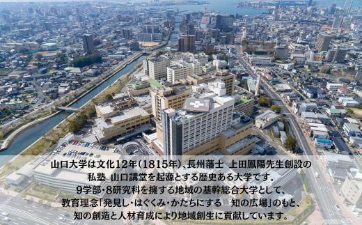 【返礼品なし】 山口大学医学部附属病院への人材育成支援補助金 寄附額 5,000円 | 山口県 宇部市 寄附額：  5,000円