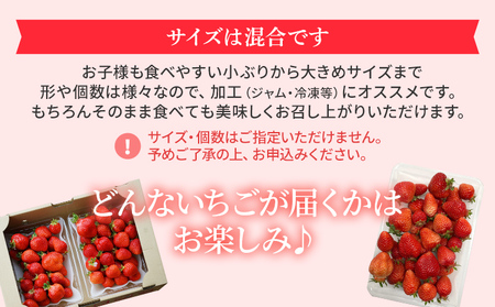 ジャム用あまおう2kg ※2024年2月中旬～5月10日頃にかけて順次出荷予定 BD07