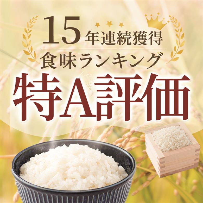 ≪ 定期便 6回 計 36kg ≫ 令和7年産 米 36kg ( 6kg × 6回 ) さがびより 佐賀県産 特A お米 こめ コメ 白米 五つ星 お米マイスター厳選 弁当