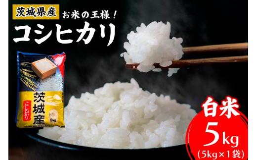 【令和7年産】お米の王様！茨城県産 コシヒカリ 白米 5kg×1袋｜おこめ 精米 こしひかり 直送 稲敷 茨城 [2102]