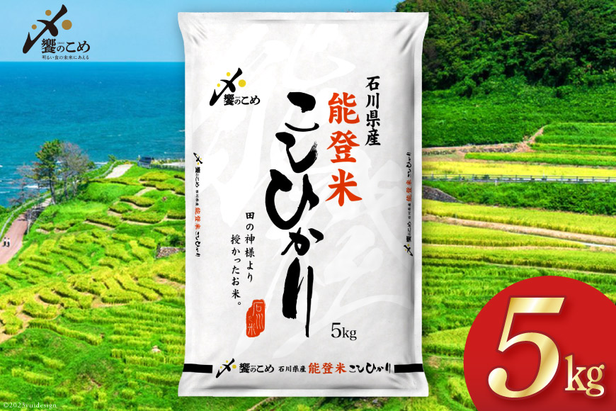【期間限定発送】 米 令和7年 能登米 こしひかり 精米 5kg [中橋商事 石川県 宝達志水町 38601139] お米 白米 ごはん 美味しい