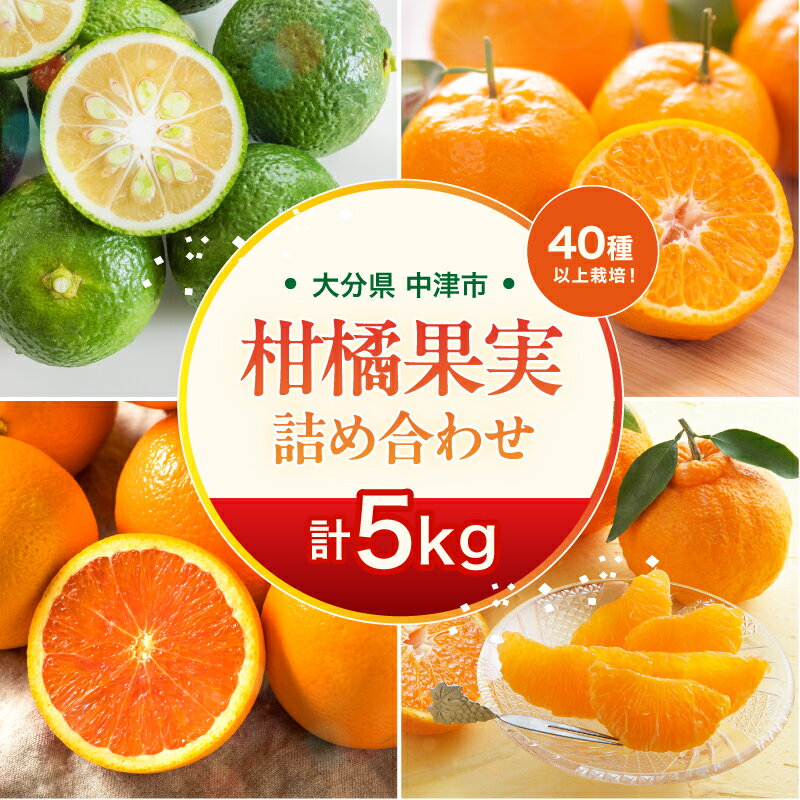 【ふるさと納税】【期間限定】おはら果樹園果実詰め合わせ 約5kg | フルーツ 果物 くだもの 果実 柑橘 柑橘類 セット 詰め合わせ ( みかん ポンカン はるみ 不知火 等) おはら果樹園 産地直送 大分県 中津市 送料無料【発送は2025年12月中旬～2026年3月中旬頃までの予定】