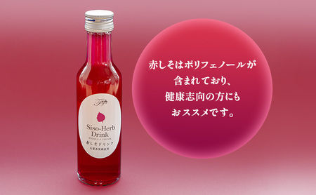 赤しそドリンク ストレート 北海道産 赤しそドリンク【180ml×24本】