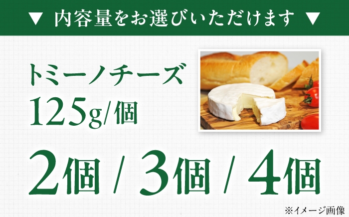 チーズ トミーノチーズ 愛媛県 伝統製法 おつまみ 乳製品 白カビチーズ 白カビ まろやか 濃厚 大人気チーズ 美味しいチーズ