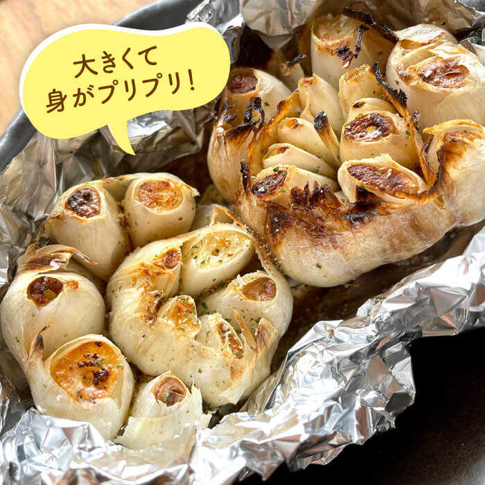 【数量限定！】にんにく500g 大きい！美味しい！糸島市からお届けする自慢のにんにくです【爽風農園】にんにく/ガーリック 【いとしまごころ】[AHZ001]