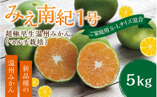【先行予約】みえ南紀１号 ご家庭用 S-Lサイズ混合 たにぐち農園の超極早生温州みかん(マルチ栽培) 5kg【2025年9月下旬～順次発送】 / ご家庭用 家庭用 不揃い フルーツ 極早生 早生 温州 みかん 蜜柑 三重県 新品種 高品質 みえ