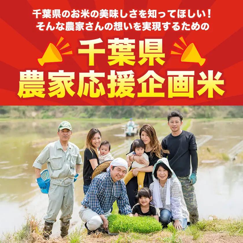 米 千葉めぐみ米 10kg 千葉県産
