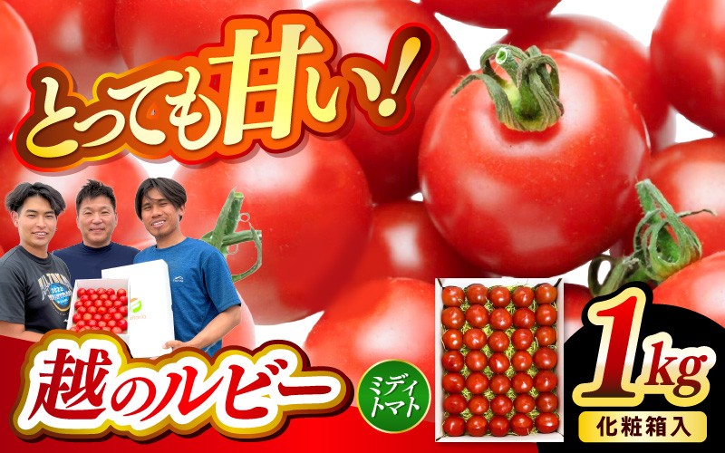 
                  【先行予約】坂井市砂丘地のとっても甘い フルーツトマト 越のルビー 1kg 化粧箱入り 【2026年10月上旬以降順次発送】【とまと トマト フルーツトマト ミディトマト ミニトマト トマトジュース 野菜 やさい 人気 新鮮 産地直送 甘い 高糖度 食べやすい リコピン ビタミン ダイエット 美容 美肌 ギフト 贈り物 贈答】 [A-19104]
                