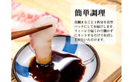 鯛 タイ 刺身 まるごと 1匹分 400～500g 鮮魚 冷蔵 須崎舞鯛 ブランド 魚 産地直送 高知県 須崎市  鯛 鯛飯 鯛 カルパッチョ たい 酢ミカン 鯛 炙り タイ 昆布締め 鯛 塩焼き 鯛
