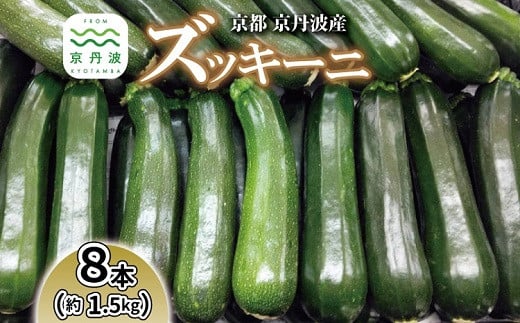 
            《先行予約》 京都 京丹波ズッキーニ 8本 1.5kg以上 産地直送 産直 国産 丹波 京丹波町 野菜 新鮮 やさい 夏野菜 炒め物 揚げ物 グリル料理 和食 洋食 BBQ 料理レシピ付き ※北海道・沖縄・その他離島は配送不可 [006KK001L]
          