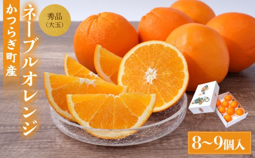 
                  [先行予約] 和歌山県産ネーブル 約4kg　大玉（8個～9個）秀品 こだわり農家厳選 ［KG35］
                