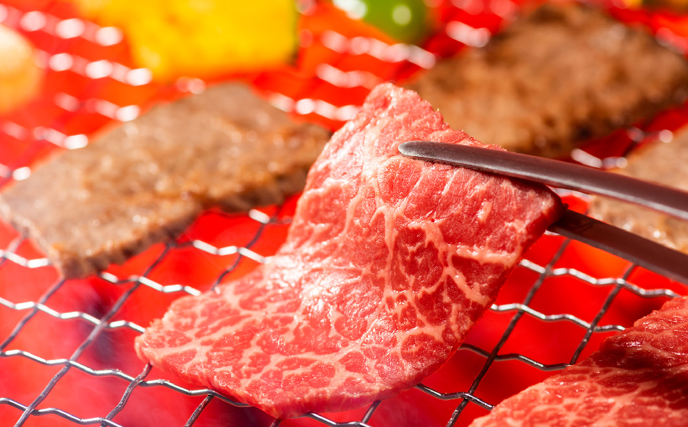 【6か月定期便】訳あり！艶さし！【A4～A5】佐賀牛焼肉切り落とし(肩ロース・バラ) 1kg(500g×2P)×6回【肉 牛肉 ブランド牛 黒毛和牛 ふるさと納税】(H112242)