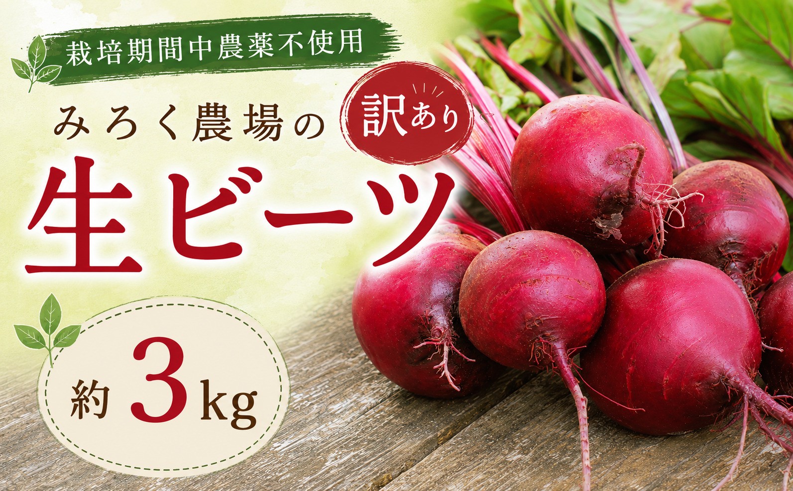 
                  訳あり 生 ビーツ 赤 ビーツ 約3kg 【 先行予約 2027年7月発送 】 びーつ なま 野菜 やさい おやさい 大きさ 不揃い わけあり bi-tsu 国産 栽培期間中 農薬 不使用 旬 おすすめ レシピ 夏野菜 なつやさい 新鮮 朝食 昼食 夕食 おかず おつまみ 特産 産地直送 千葉 東金 みろく農場
                