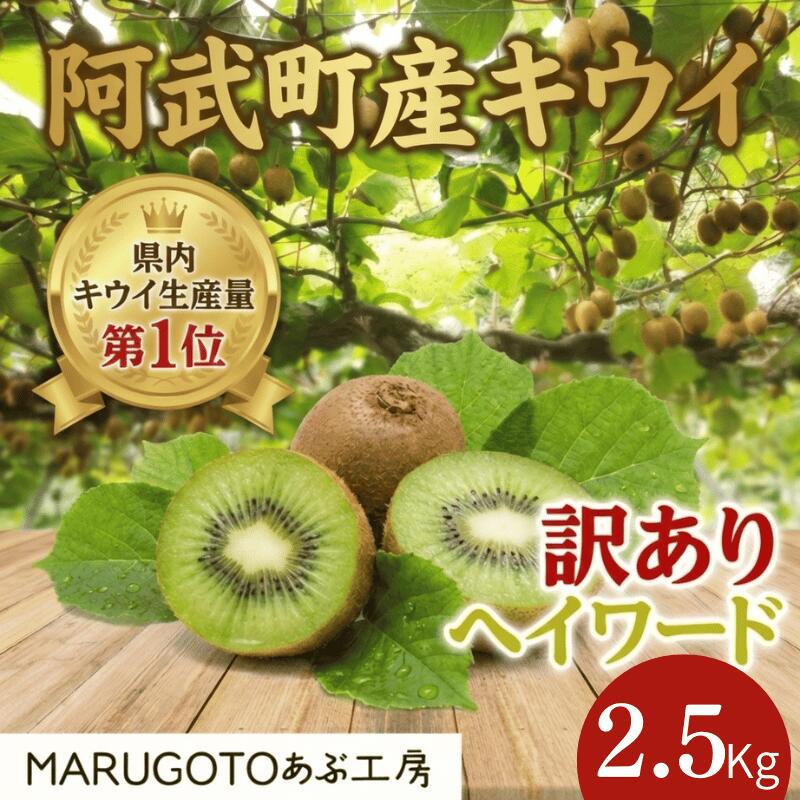 【ふるさと納税】【先行予約】阿武町産 キウイ 訳ありヘイワード （2．5kg） 山口県産 国産 数量限定 フルーツ 家庭用
