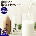 【ふるさと納税】【12ヶ月定期便】山田さんちの牛乳・カフェラテ セット 900ml×2本×12回 合計21.6L 飲み比べ ノンホモ牛乳 生乳100％ カフェラテ 牛乳 ミルク ミルクコーヒー コーヒー 珈琲 低温殺菌 乳飲料 ドリンク 熊本県 西原村産 冷蔵 送料無料