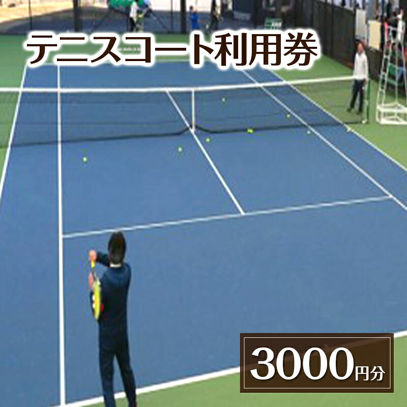 【ふるさと納税】テニスコート利用券 3000円分 チケット 利用券 テニス レンタルコート 貸ラケット 貸シューズ 貸ボール 吉田記念テニス研修センター 千葉県 柏市
