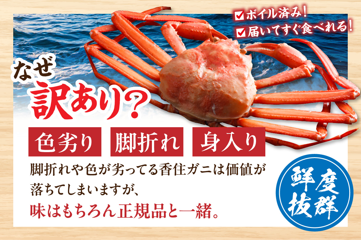 〈カンテレ「やすとも・友近のキメツケ！」で紹介！〉【訳あり 香住ガニ 浜茹で 2～3杯 約1kg以上 1～2本指落ち 冷蔵】【令和8年1月中旬以降発送予定】 TVで紹介 国産 香住 日本海 カニ かに