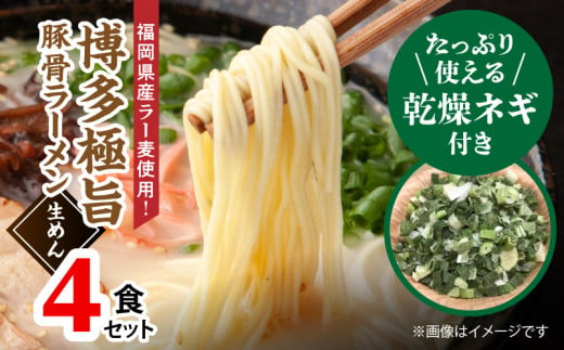 たっぷりネギ付き！博多極旨豚骨ラーメン 4食【福岡県産ラー麦使用】 PC2606