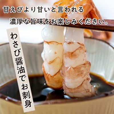 ふるさと納税 若狭町 越前ガラエビ　500g(約35-40尾) |  | 02