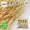 【ふるさと納税】米 若葉の舞 コシヒカリ 白米5kg×3個セット こしひかり セット お米 白米 精米 千葉 千葉県 低温保存