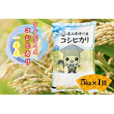 ふるさと納税 滑川市 滑川産コシヒカリ(令和7年産米/精米)5kg