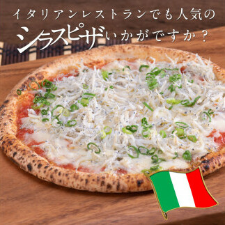 t205mmk　〈12ヶ月定期便〉訳あり 釜揚げシラス 800g×2個 定期便 定期コース 12ヶ月 しらす シラス 釜揚げ 新鮮 塩分控えめ 離乳食 わけあり ワケあり 不揃い しらす丼 海鮮丼 お