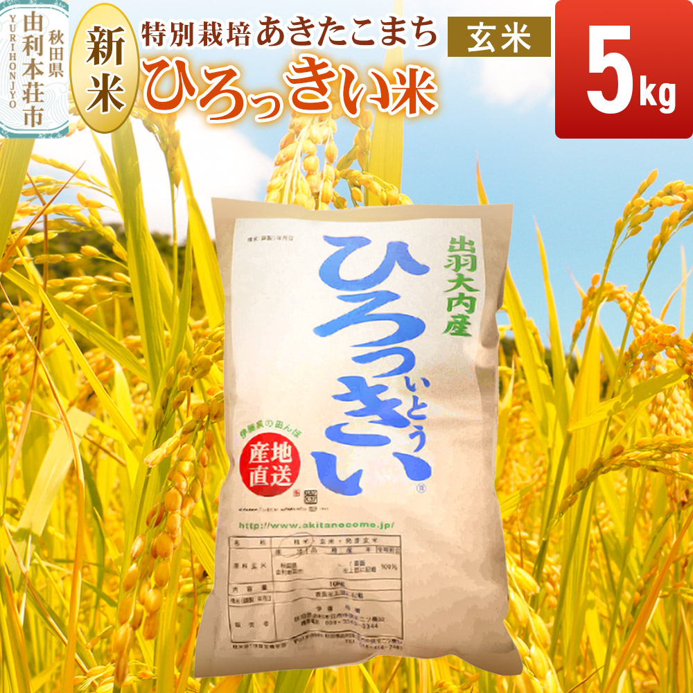 【玄米】 秋田県産 あきたこまち 5kg 令和7年産 特別栽培米 ひろっきい米